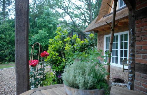 Ferienwohnung am Eichenpark, Lüneburger Heide - Foto 4