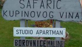 Studio apartman Šafarić - Foto 4