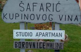 Studio apartman Šafarić - Foto 4