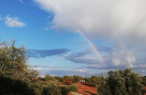 Burrico D`Orada - Rural Stays & Wine Country Tours - Foto 18