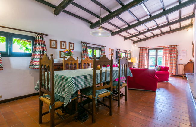 Bardeggiano - Caterina 4 (COL247) - Photo 5