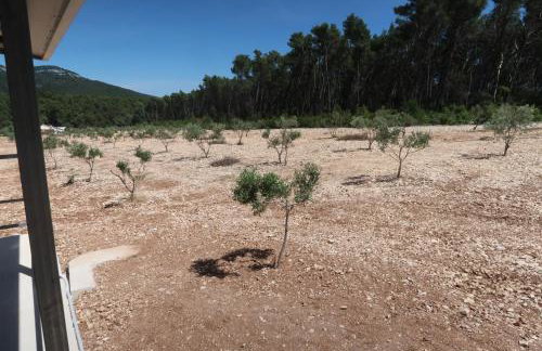 Robinson olive tree huts - Photo 20