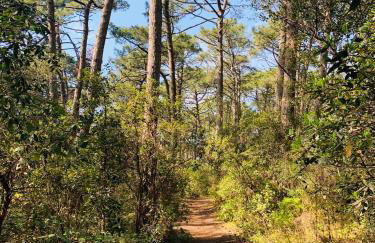 La Cabane du Bois - Foto 16