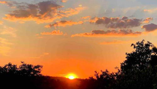 Freistehender Bungalow in Marktbreit in Traumlage mit großem Garten - Foto 4