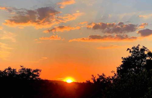 Freistehender Bungalow in Marktbreit in Traumlage mit großem Garten - Foto 4