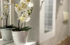 Cusumano house - Photo 19