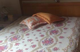 Vale das Estrelas - vale das videiras - araras - Foto 36