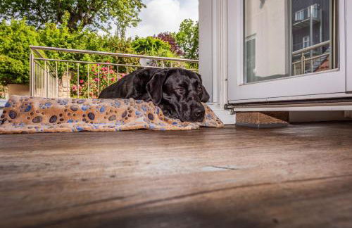 City-Appartements Am Wall - Foto 116