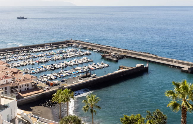 Buenavista - Foto 29