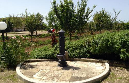 Masseria Mattiani - Foto 78