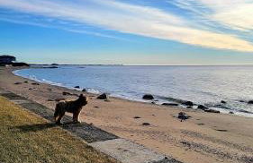 Enchanted Cottage 1 block to beach - Foto 8