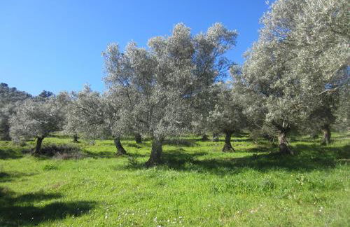 Cortijo "Era Grande 2" - Foto 48