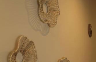 Piedra y Luz - Foto 22