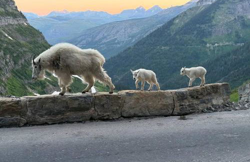 Glacier Ridge Chalet- An Incredible Rockies Panorama Part of the Glacier Ridge Vacation Rental Collection - Foto 44