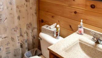 Pretty Cabin with Hot-tub in Herod, Illinois - Foto 2