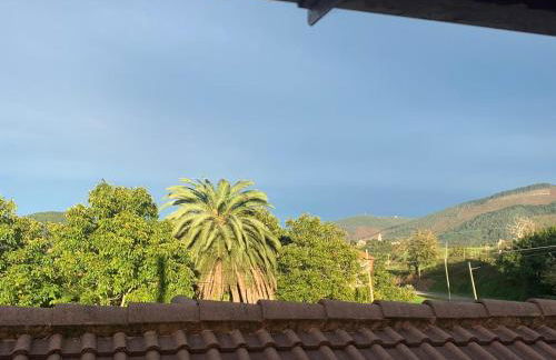 El Desván del Chisco - Foto 14