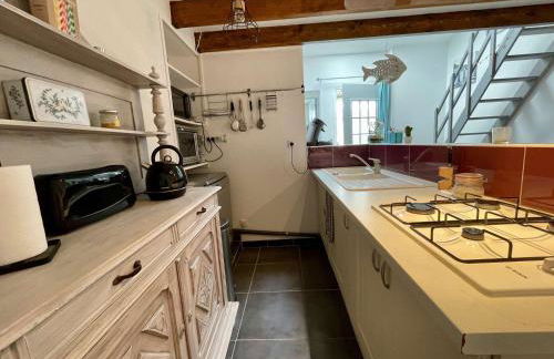 Maison calme 2 chambres, proche plage, wifi, parking - FR-1-246A-193 - Foto 11