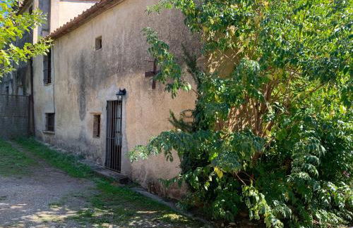 Can Carreras - Foto 18