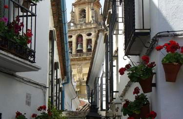 APARTAMENTO PUERTA DE CÓRDOBA- Exterior con balcones - Foto 41