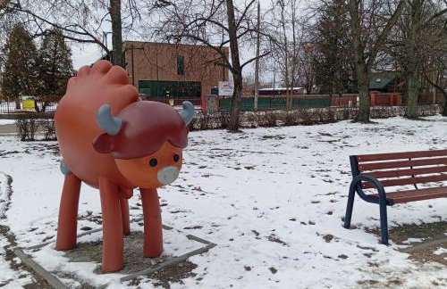 Dom na wsi u Kasi HAJNÓWKA BIAŁOWIEŻA NA WYŁĄCZNOŚĆ - Foto 66