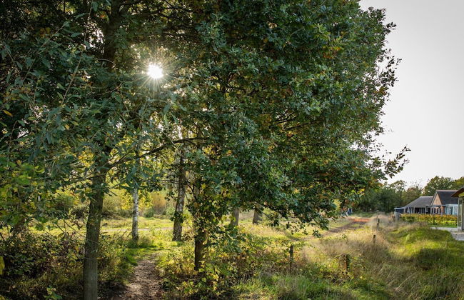 Villa in Someren Near Somerense Heide - Photo 35
