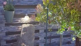 Apartments Merion - Foto 5