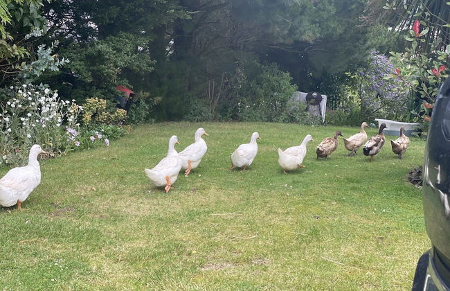 A Serene and Tranquil Escape for two - Photo 21