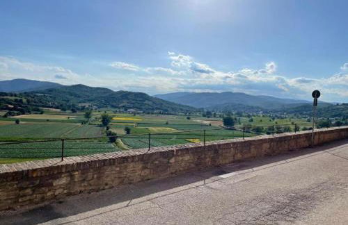 Casa Pifaro - Foto 21