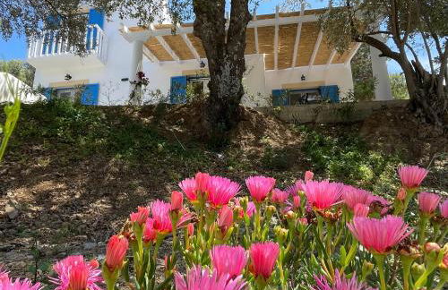 The Velanidies - Οι Βελανιδιές - Foto 9