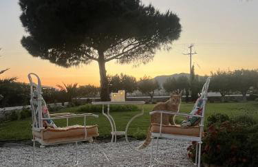 Villa Loretta with pool, jacuzzi and garden - Photo 31