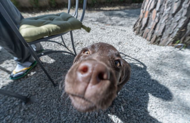 Corte di Valle Wine and Resort - Foto 74