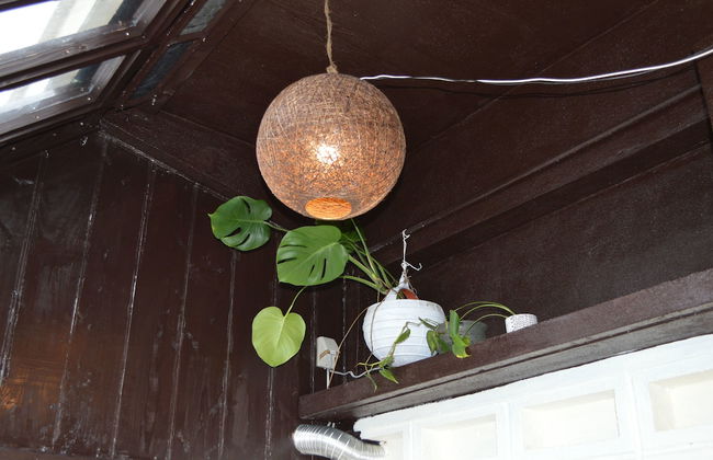 Nuka Nuka - Photo 32