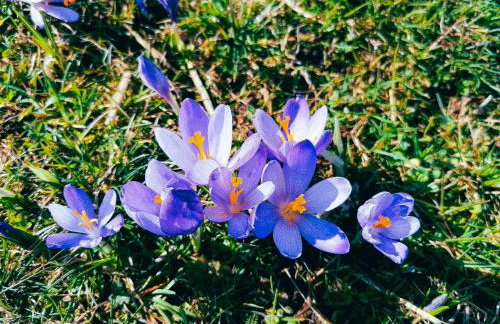 Willa Rąbanisko z sauną fińską - Foto 78