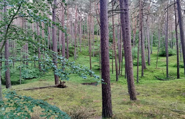 Holiday House Bursztyn by Renters - Photo 62