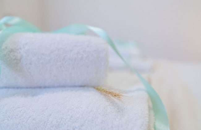 Green Wheels Oasis Between Pisa and Sea - Foto 50