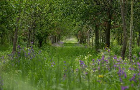 SAQA Organic Farm - Foto 23