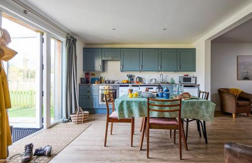 Bueno - Ukc4682 - Foto 9