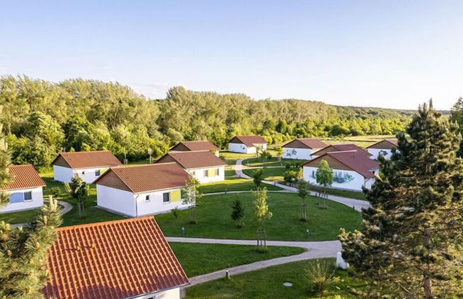 WaldResort - Am Nationalpark Hainich - Foto 20