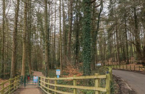 Chestnut Cottage - Foto 22