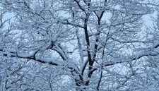 Ferienwohnung Vido - Nordhalben - Foto 3