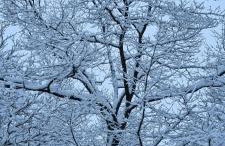 Ferienwohnung Vido - Nordhalben - Foto 3