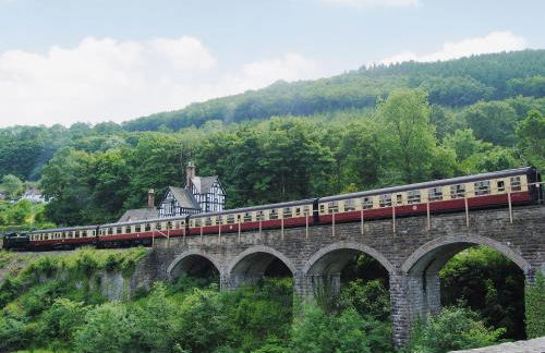 Fedwr Gog Cottage - Photo 22