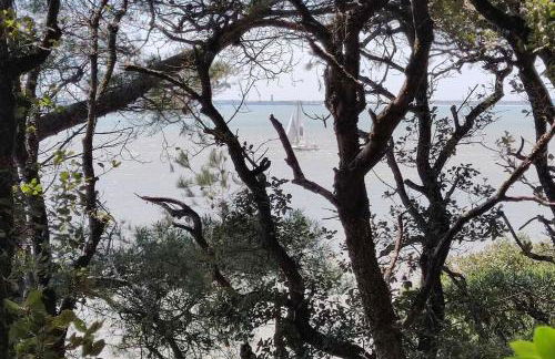 Beach apartment - Ocean sunset full view - Foto 53