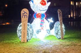 31 avenue GEORGES CLEMENCEAU - Foto 27