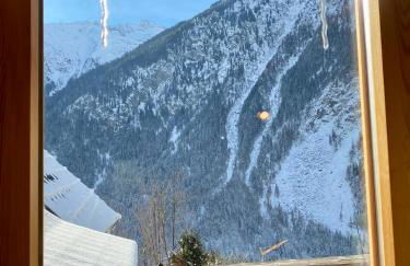 La Grange St. Cyprien, Venosc - Les Deux Alpes - Photo 10