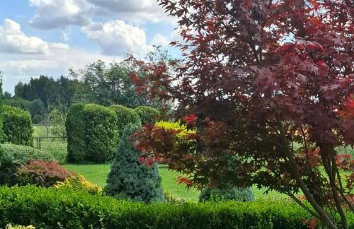 Apartamenty TUTERRA III - Foto 36