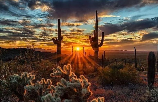 Los Lagos Mesa - Photo 37