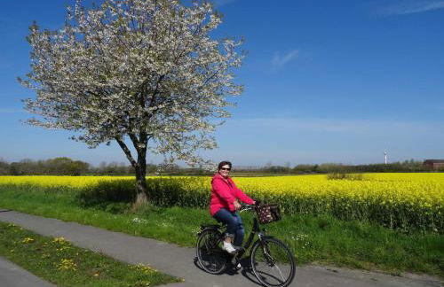 Ferienhaus Küstenschwalbe - Foto 9