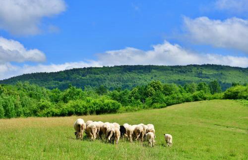 Natura hause - Foto 42