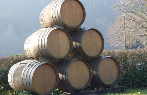 Relaxen im alten Winzerhaus Fewo OG - Foto 39